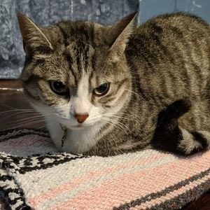 Meet your Posher, Maria